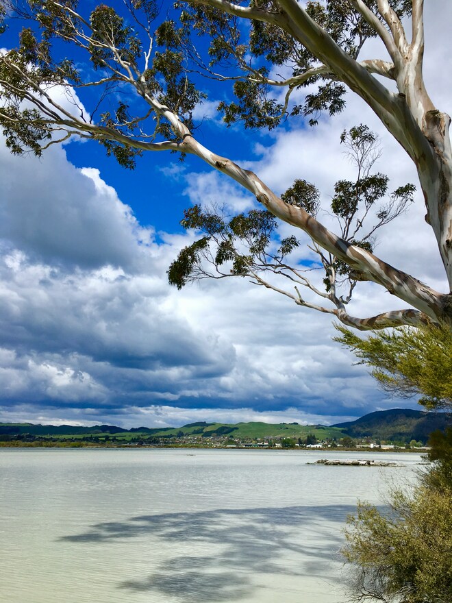 Essence of New Zealand