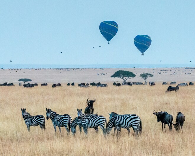 Classic Kenya & Southern Africa