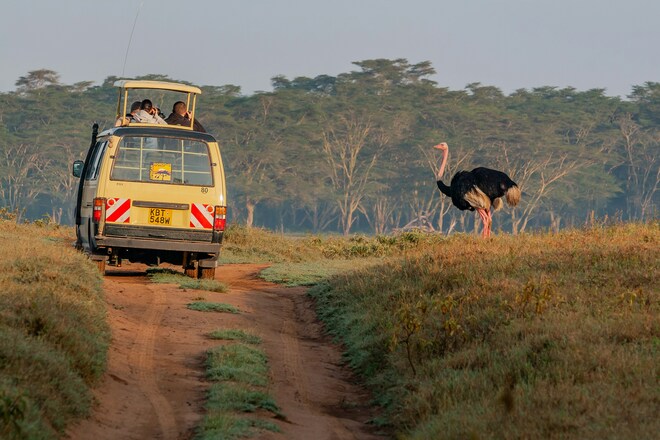 Victoria Falls & Kenyan Discovery