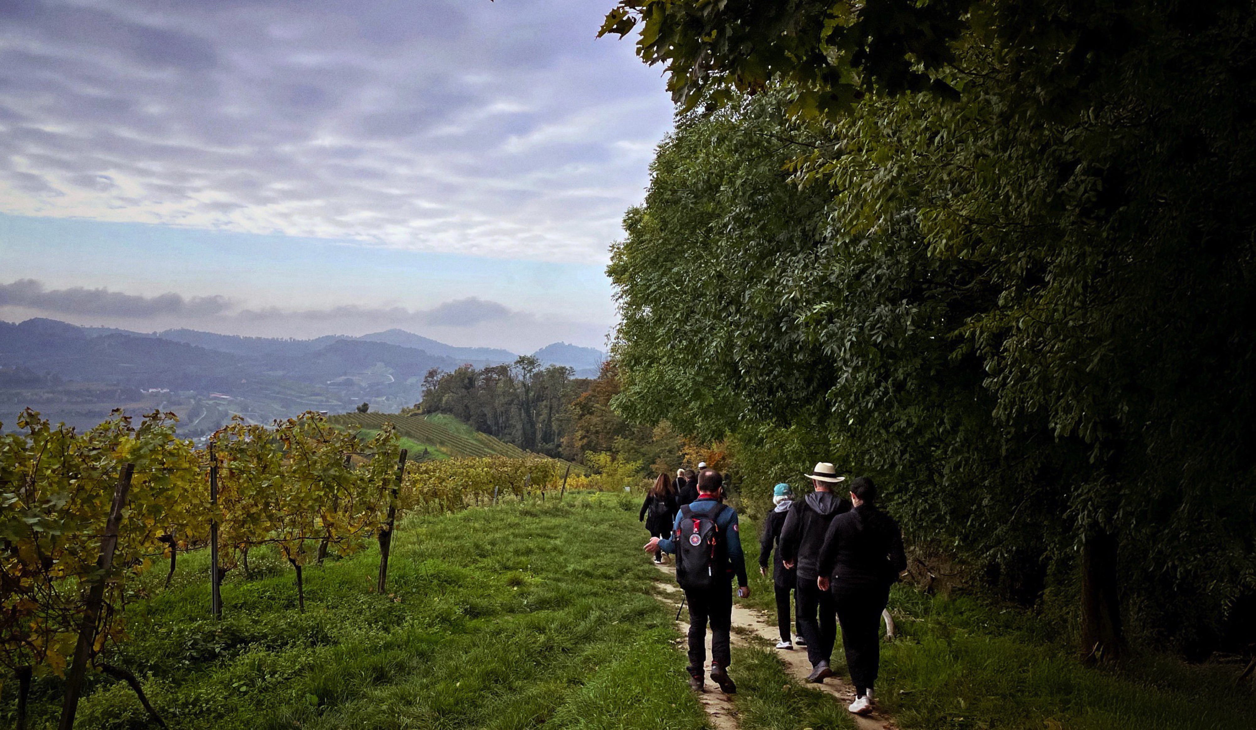 Guided Hiking Tours