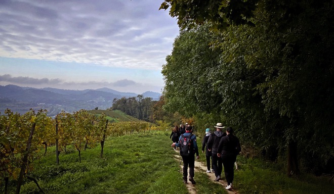 Included Hiking Excursions